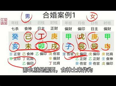 情絲八字|八字基礎教學總整理,八字算命入門全攻略（21分鐘理解）